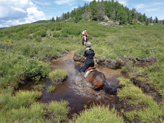 Takhi with mounted rider wading through mud and water