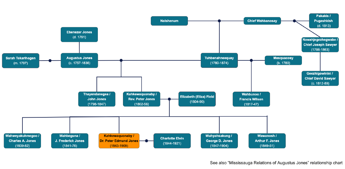 Colour diagram. Family tree style diagram showing Dr. Peter Edward Jones’ relations. Dr. Jones is in yellow in the bottom centre of the tree, and his relations are in blue. It shows his siblings, parents, grandparents, wife, and selected relations.