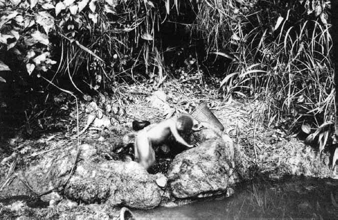 A black and white photograph shows a small pit at a riverbank and a naked person is pressing the palms with the legs to get palm oil.