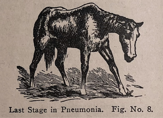 Illustration of sick horse struggling to stand