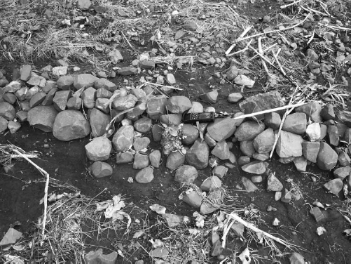 Small and large pieces of stone scattered in a field along with straw, grass and sticks.