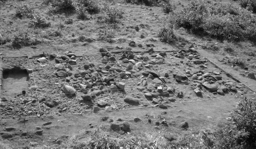 An archaeological excavation area.