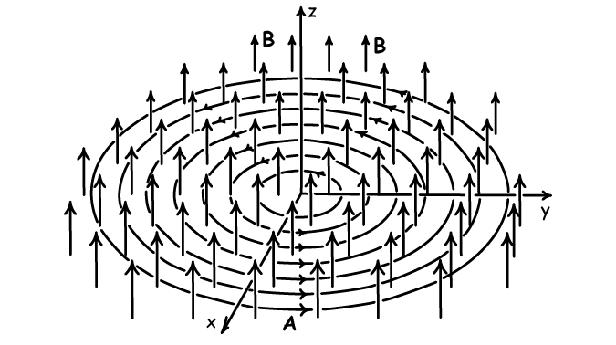 The integral curves of the vector potential A of a uniform, vertically oriented B field are circles.