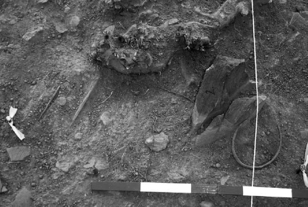 A large iron bracelet and a few small iron sticks on an excavation site.
